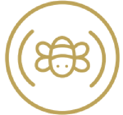 Solutions pour acouphènes